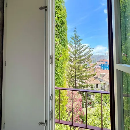 Frank's House & Happy Downtown Apartment Lisbon