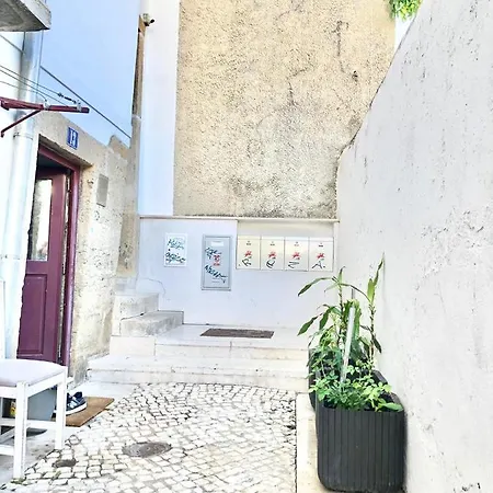 Frank'S House Downtown Лісабон