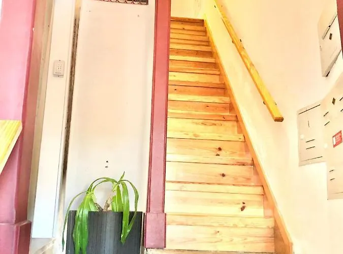 Frank's House & Happy Downtown