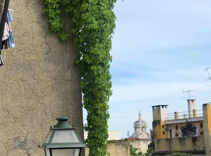 Апартаменты Frank's House & Happy Downtown *