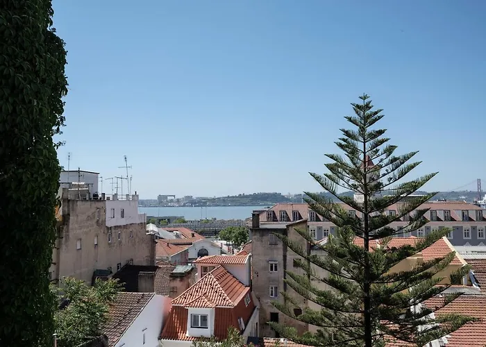 Frank's House & Happy Downtown *