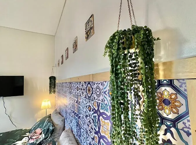 Frank's House & Happy Downtown *