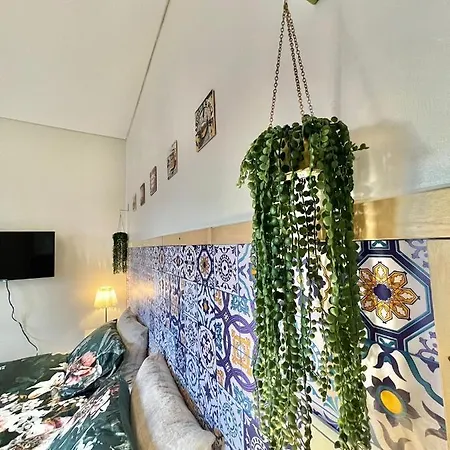 Frank's House & Happy Downtown *