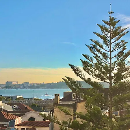 Frank's House & Happy Downtown アパート *